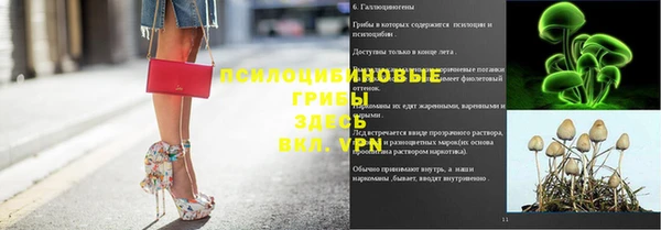 экстази Богданович